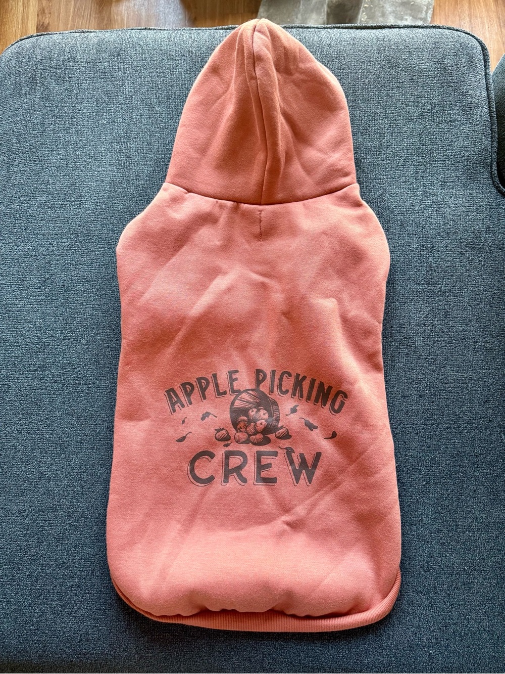 XL dog hoodie